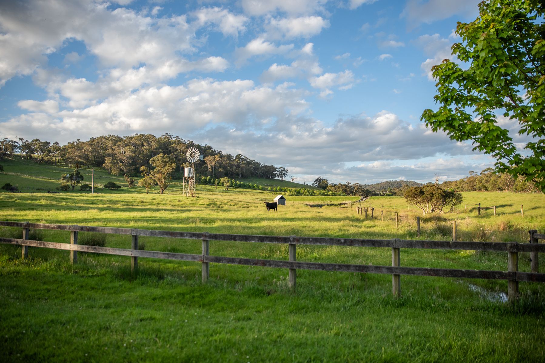 13 Grand Ridge Way, Sunbury, Sunbury - Thumbnail 8
