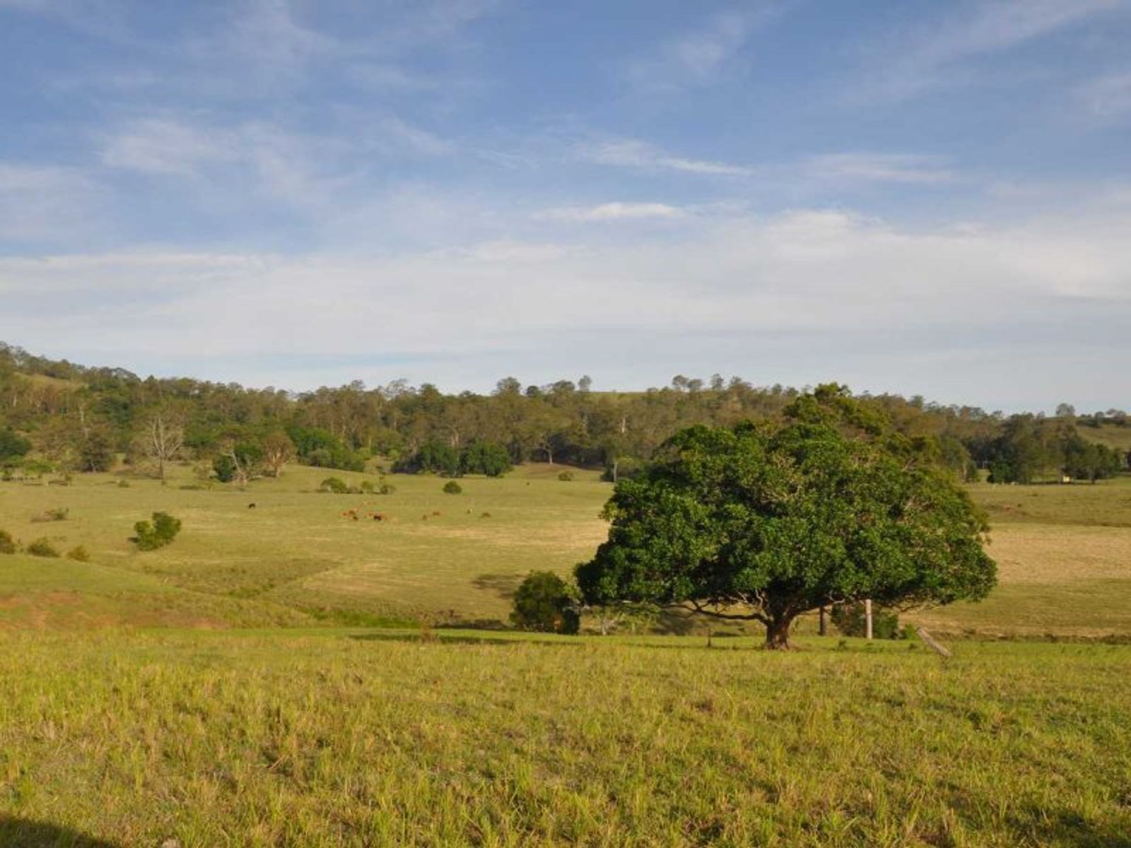 Vidlers Road NSW 2470, Vidlers Road - Thumbnail 7