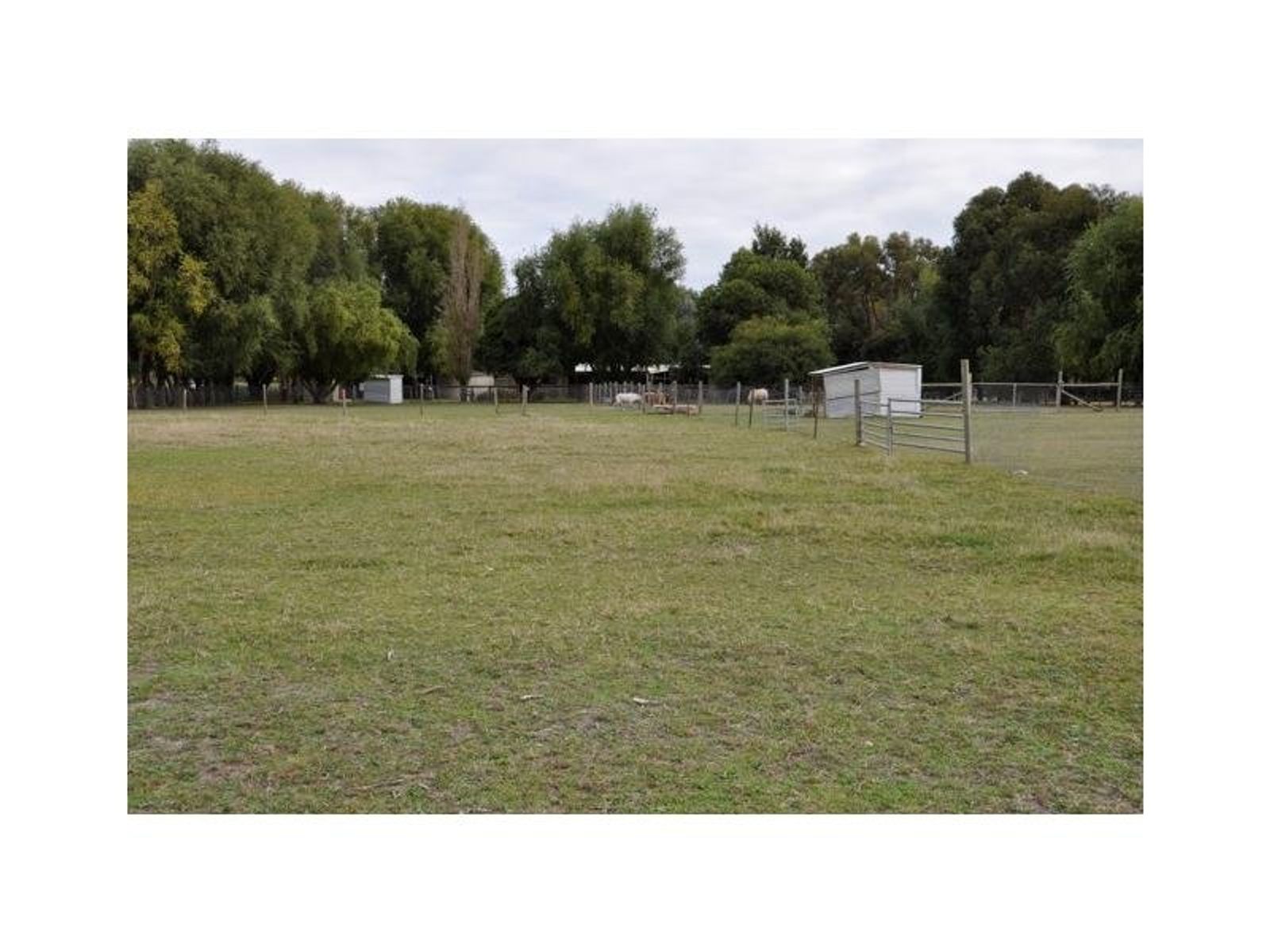 5 Garden Street, Cranbourne East - Thumbnail 8
