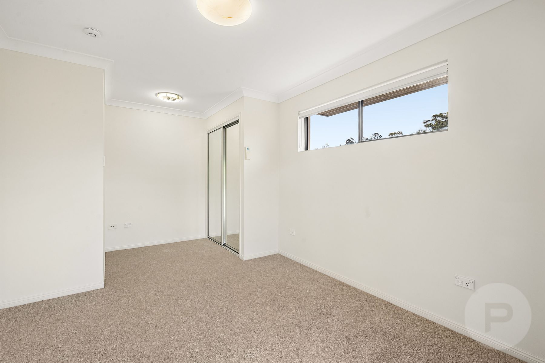 24 Moorak Street, Taringa - Thumbnail 8
