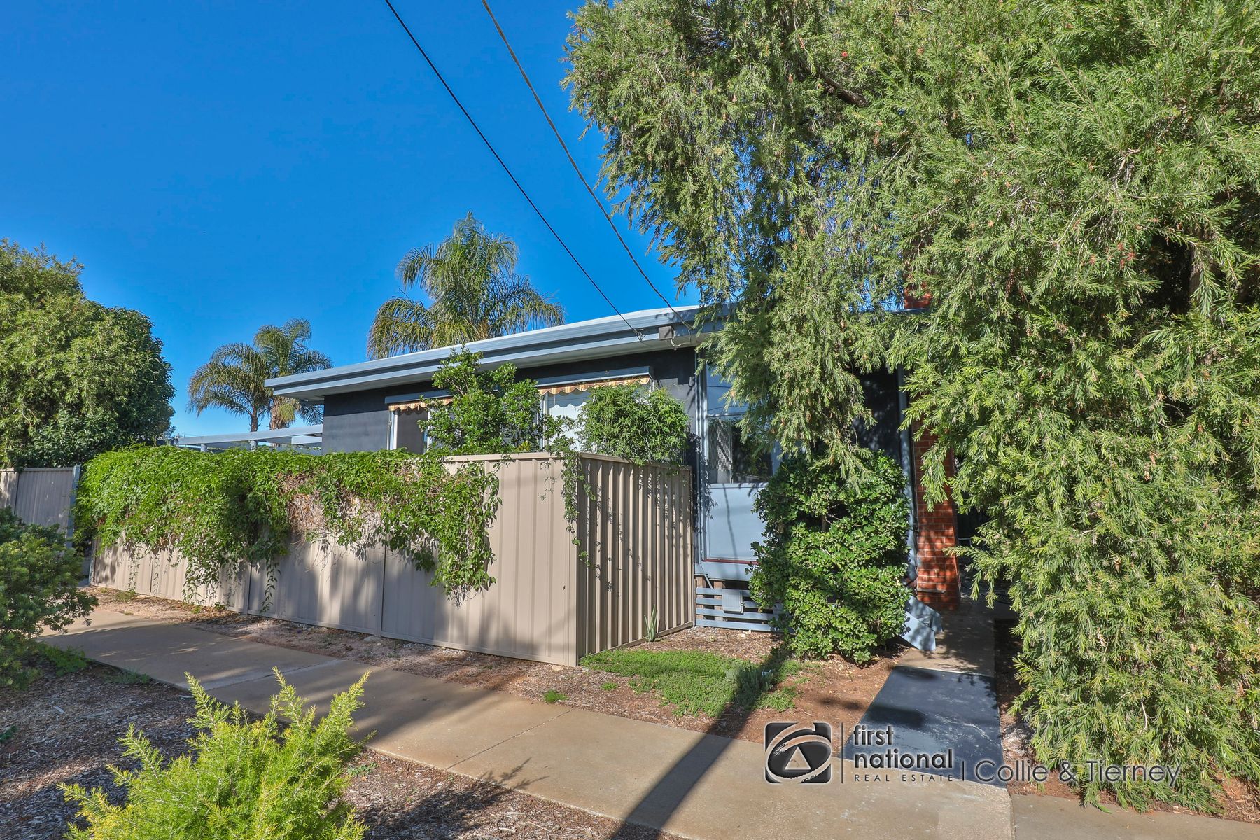 1 Wilga Avenue, Mildura - Thumbnail 3