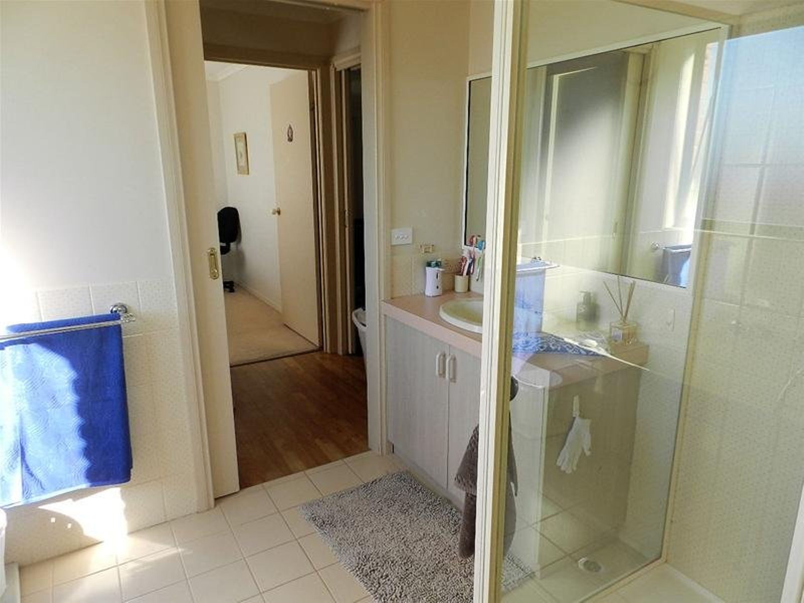 21 Elouera Drive, Irymple - Thumbnail 8