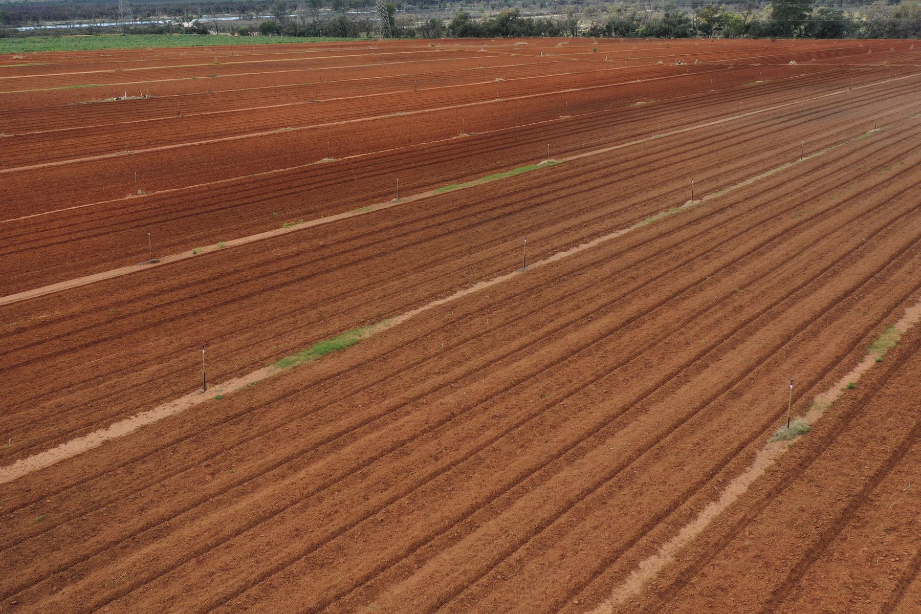 3 Tickell Lane, Red Cliffs - Thumbnail 3