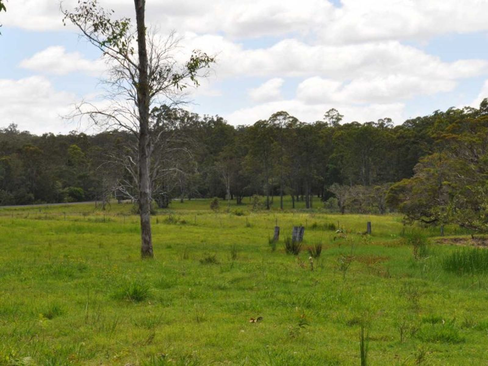 Busbys Flat NSW 2469, Busbys Flat - Thumbnail 5