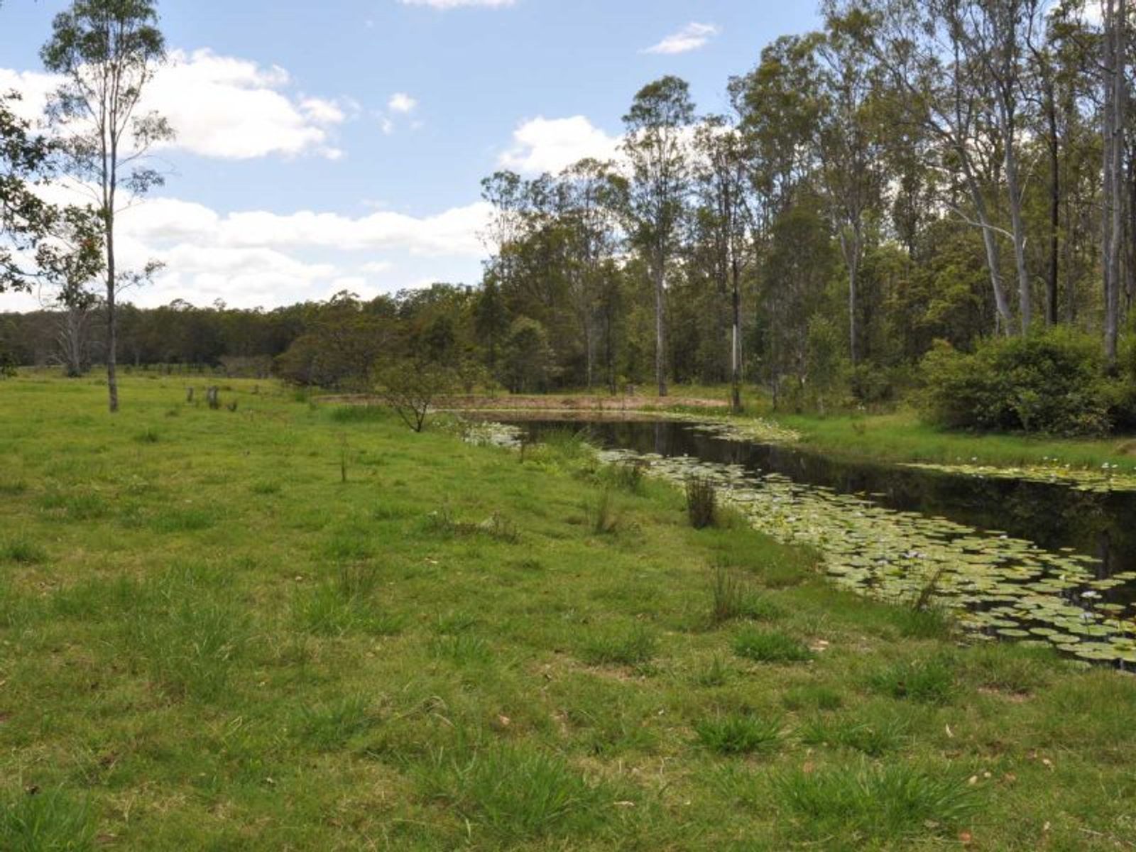 Busbys Flat NSW 2469, Busbys Flat - Thumbnail 8