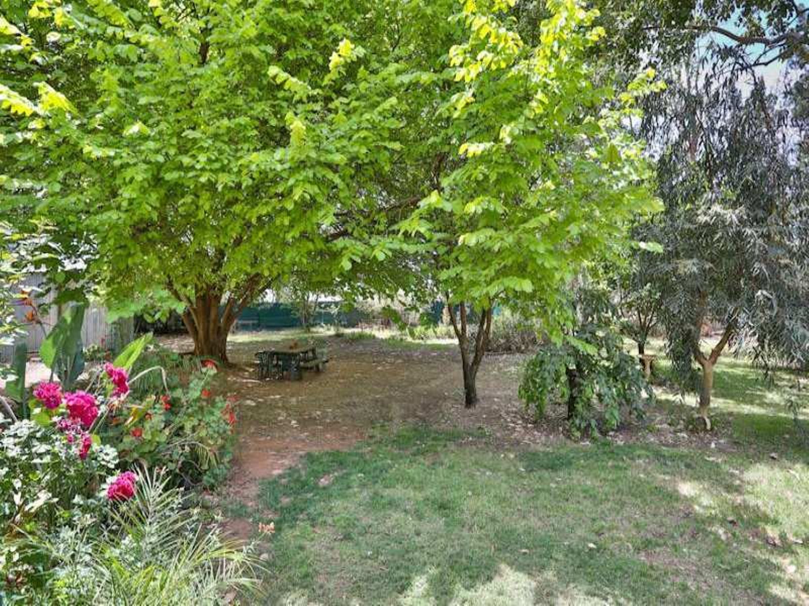 67 Coorong Avenue, Irymple - Thumbnail 3