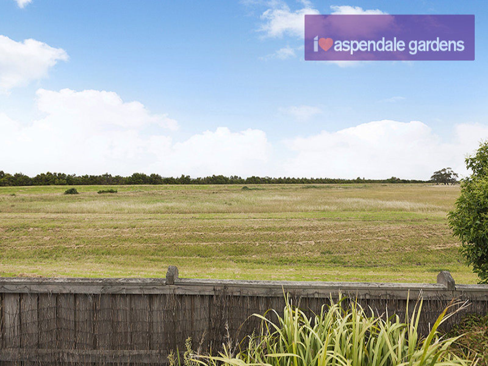 15 Carpentaria Court, Aspendale Gardens, VIC 3195, Aspendale Gardens - Thumbnail 7