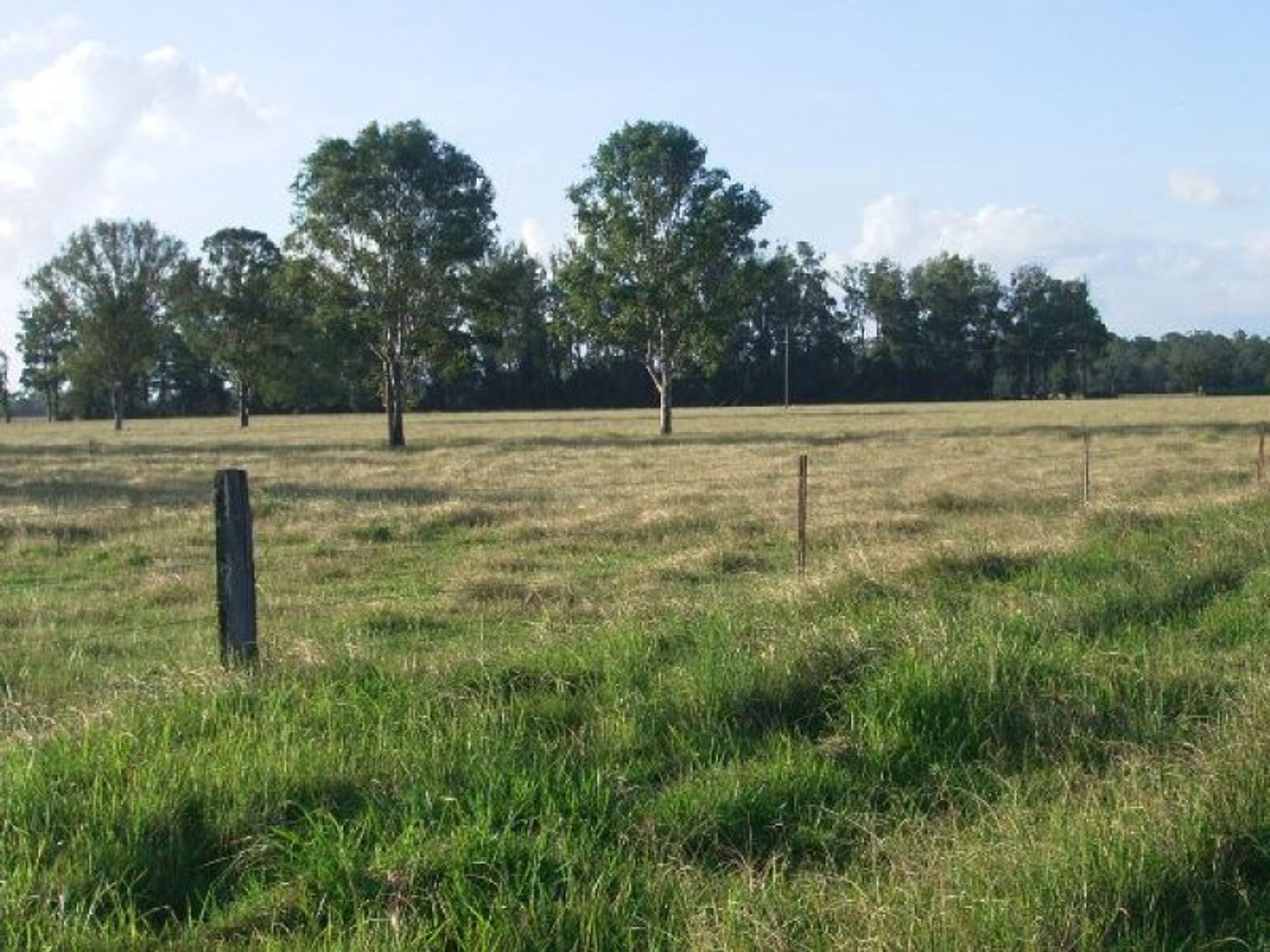 Tatham NSW 2471, Tatham - Thumbnail 4