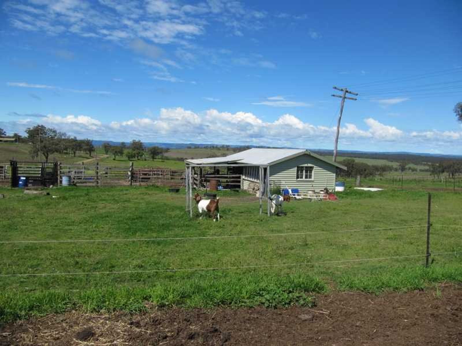 Warwick QLD 4370, Warwick - Thumbnail 7