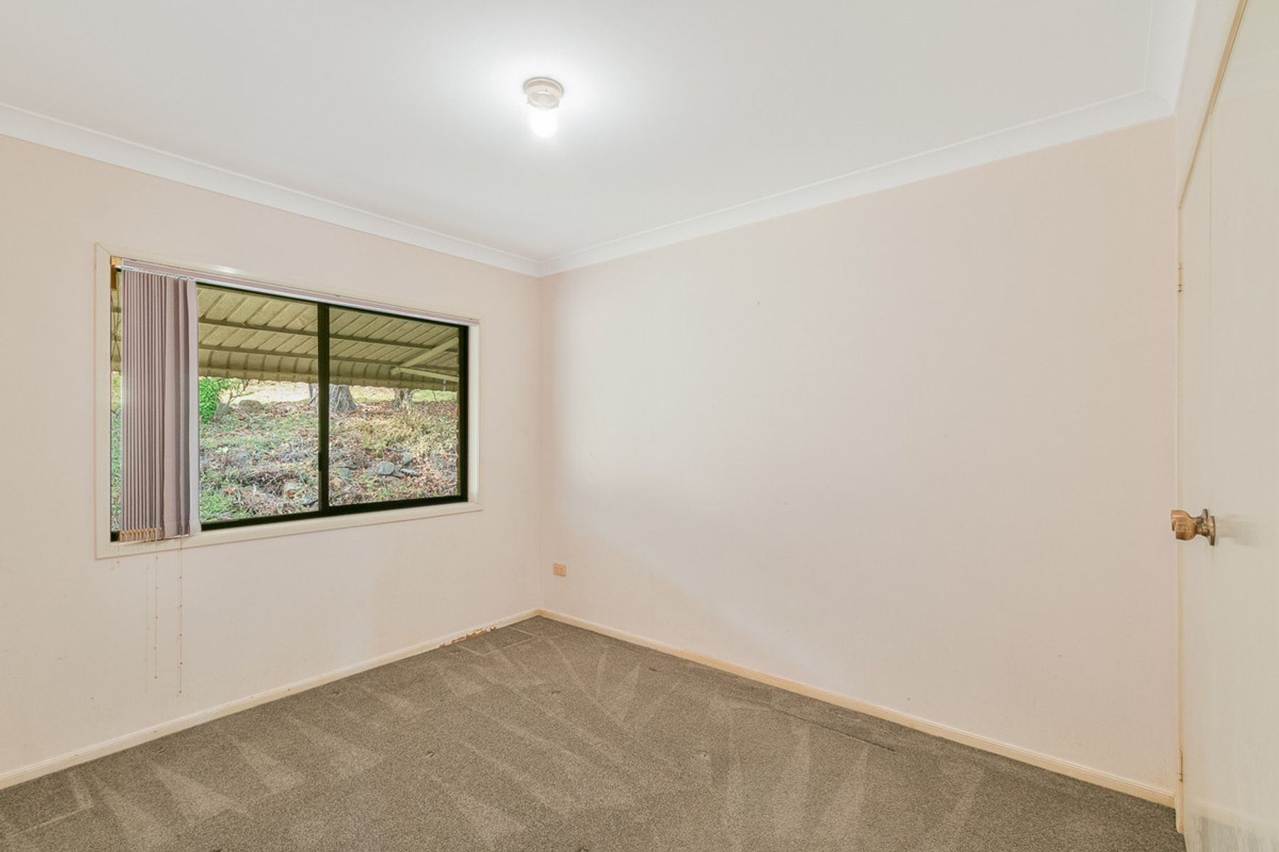 16 Toolona Avenue, Banora Point NSW 2486, Banora Point - Thumbnail 8