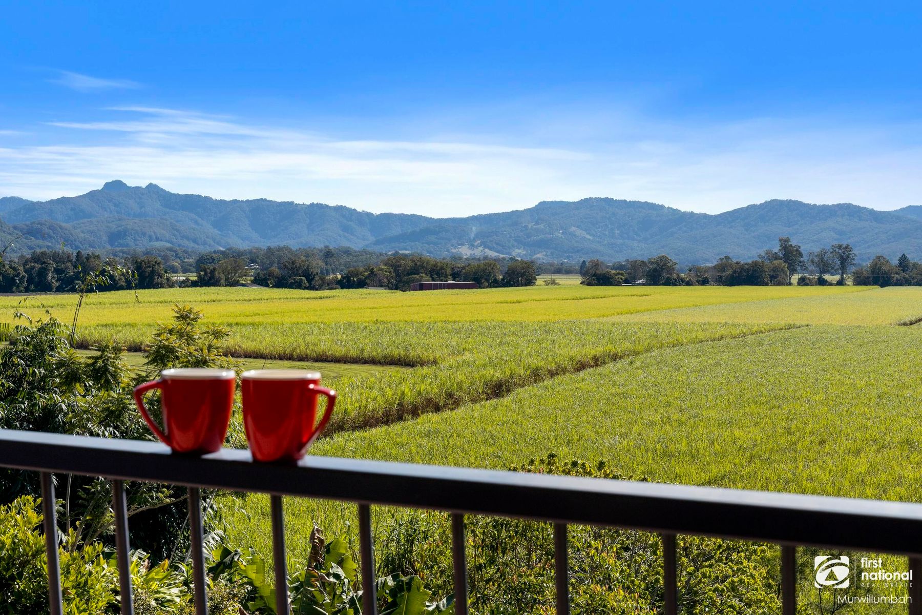 183 Murwillumbah Street, Murwillumbah - Image 1