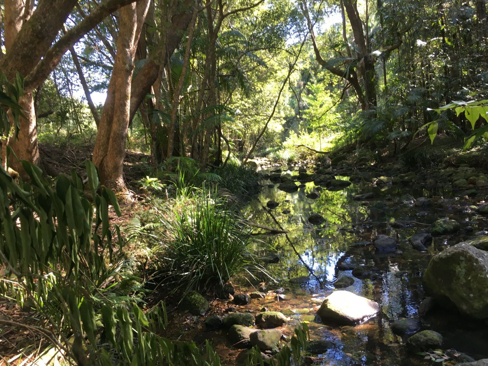 114 Maso Rd, Repentance Creek - Thumbnail 7