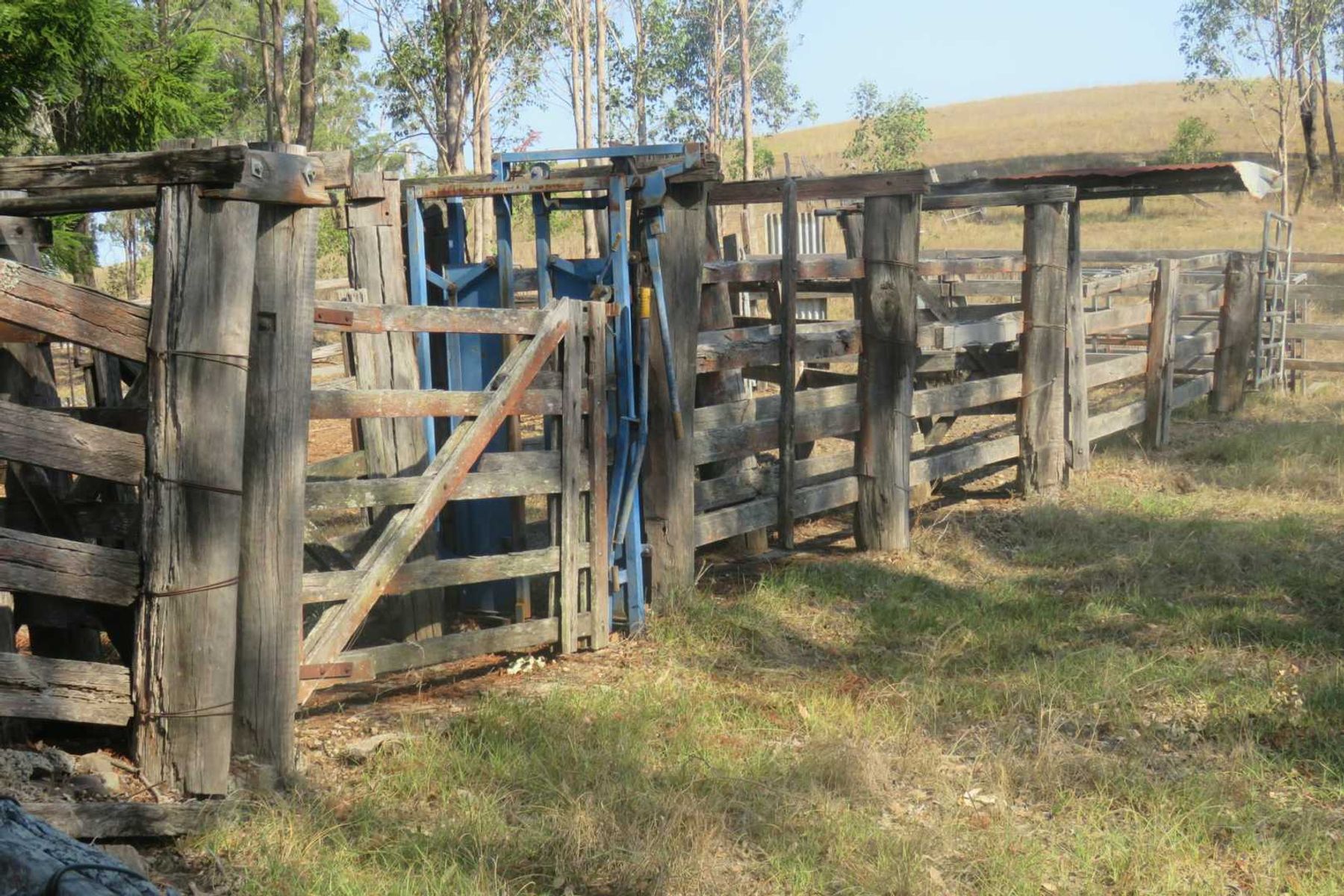 497 Yabbra Road, Yabbra, NSW 2469, Yabbra - Thumbnail 6