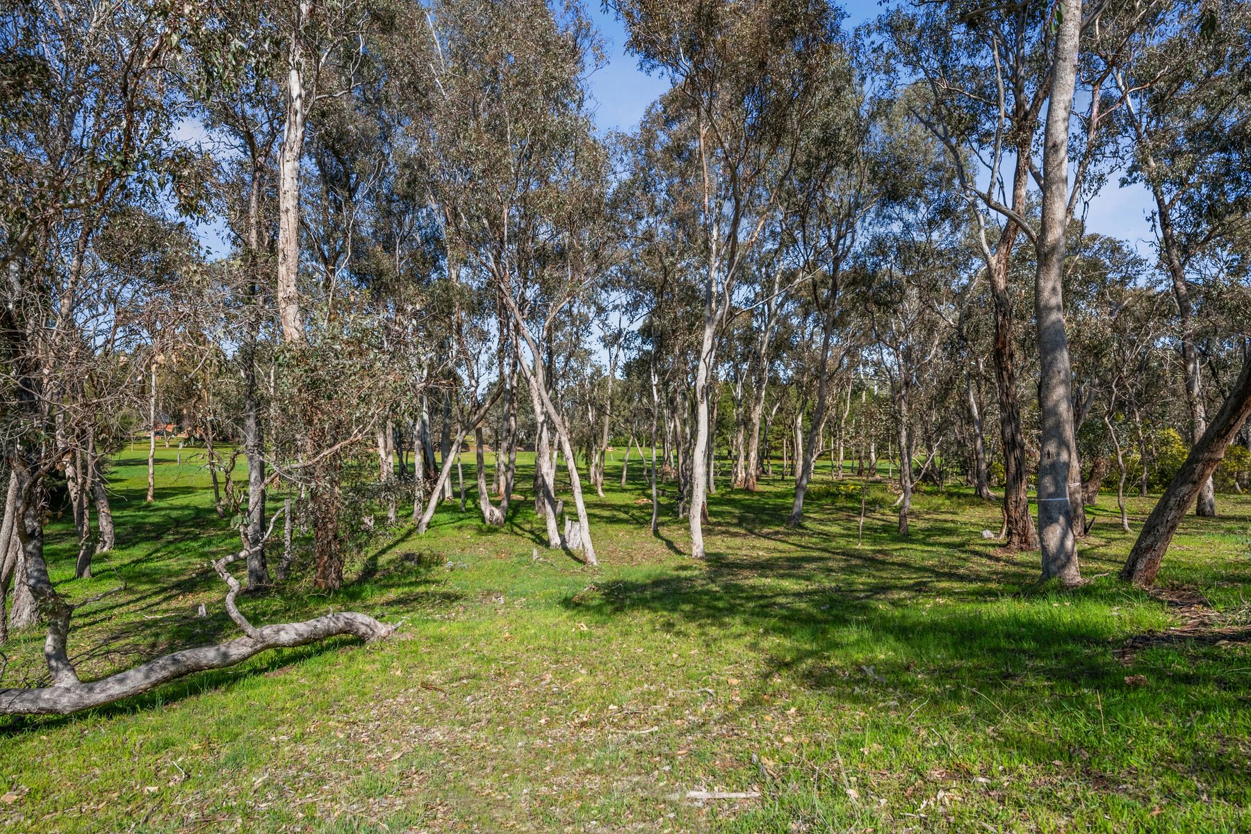158 Sinclairs Road, Strathfieldsaye VIC 3551, Strathfieldsaye - Thumbnail 8