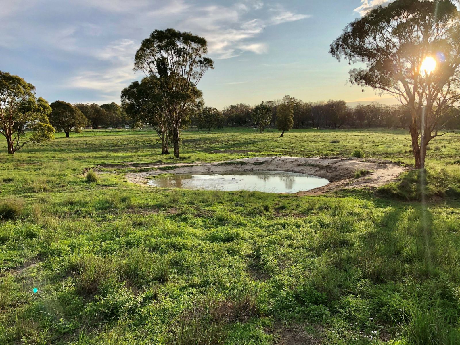 705 Sorrento Road, Dalveen, QLD 4374, Dalveen - Thumbnail 6