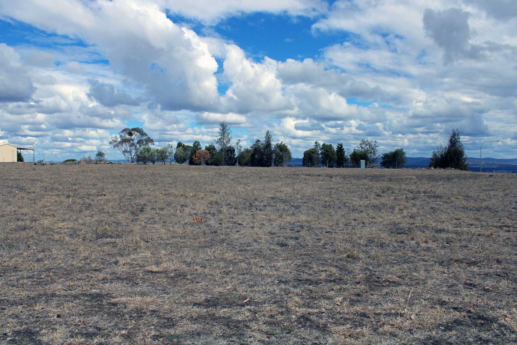 Warwick QLD 4370, Warwick - Thumbnail 7