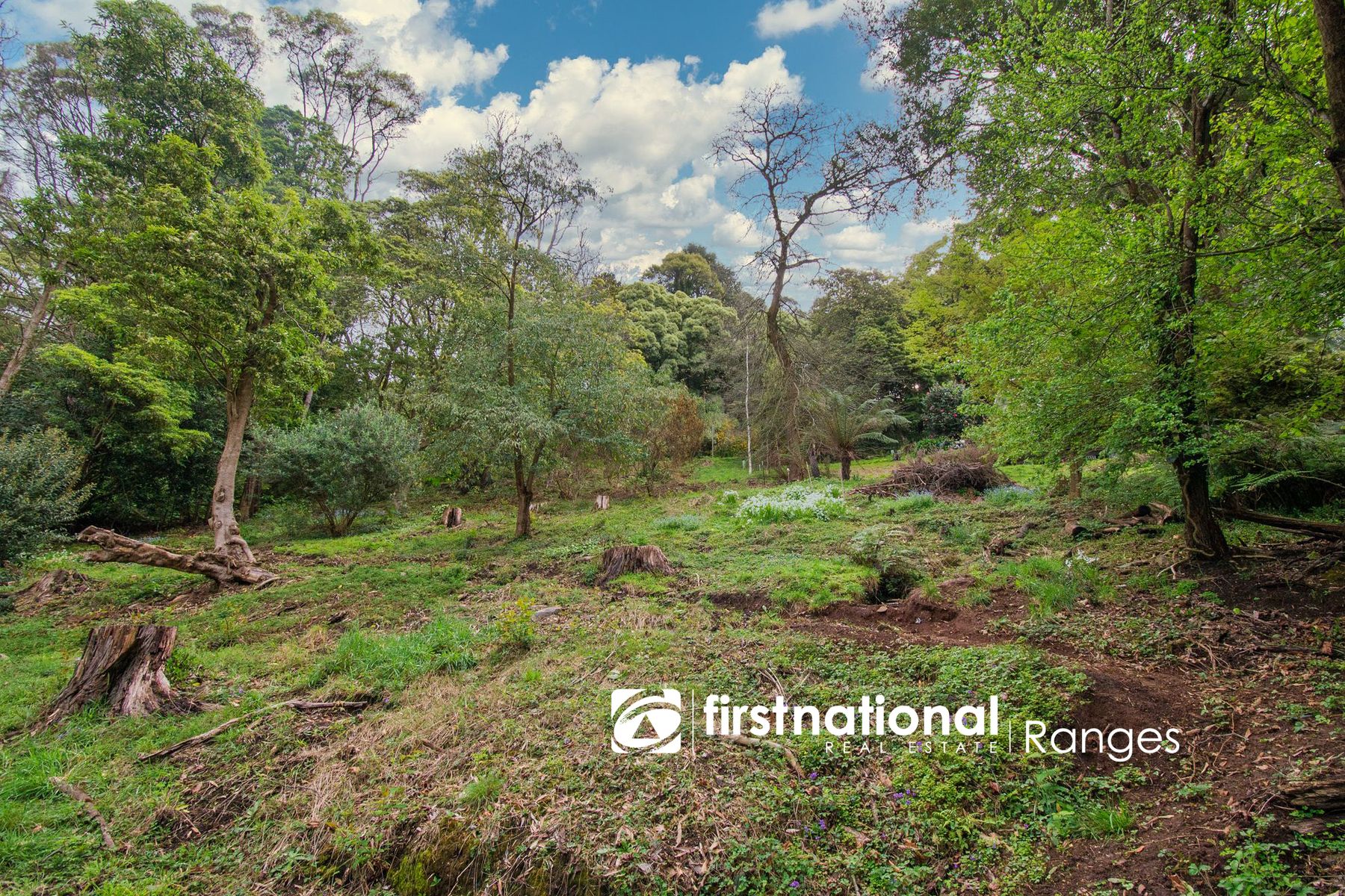 13 Dalmonte Grove, Kallista VIC 3791, Kallista - Thumbnail 4