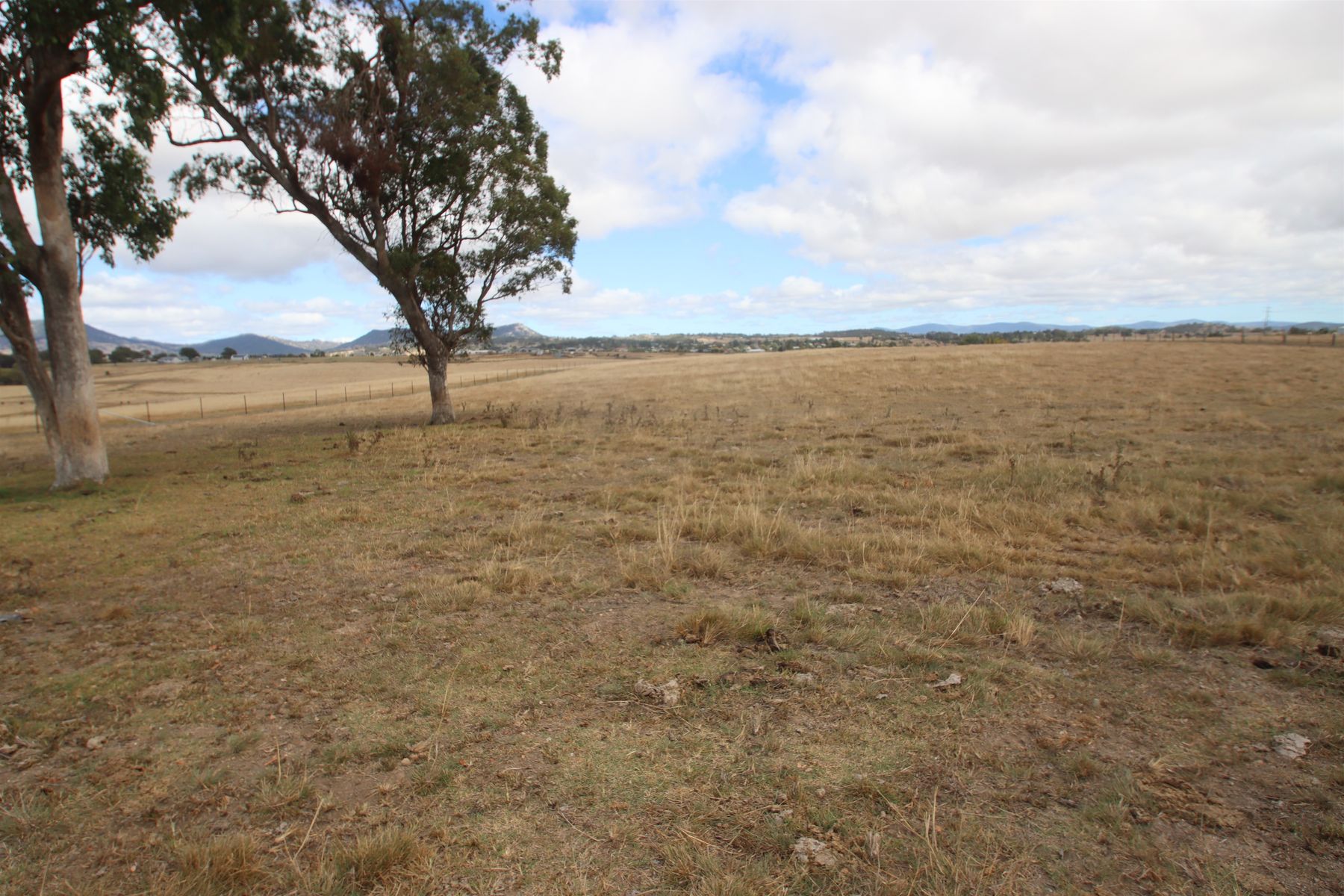 113B Bellevue Road, Tenterfield NSW 2372, Tenterfield - Thumbnail 4