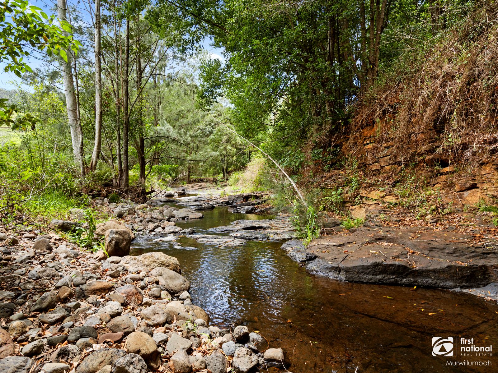 245 Limpinwood Valley Road, Limpinwood NSW 2484, Limpinwood - Thumbnail 4