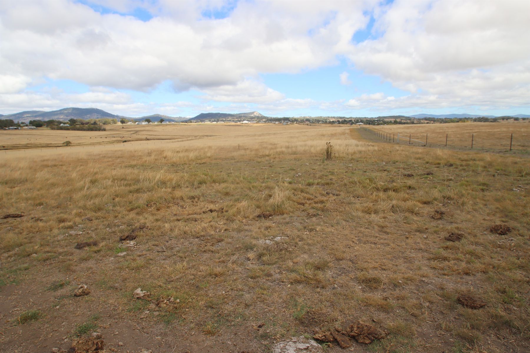 113A Bellevue Road, Tenterfield NSW 2372, Tenterfield - Thumbnail 5