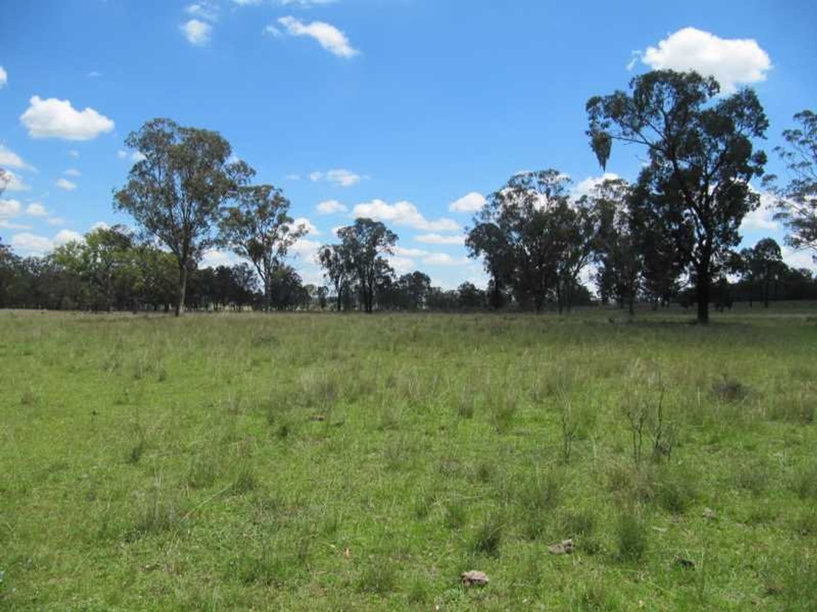 167 Rodgers Creek Road, Warwick, QLD 4370, Cunningham - Thumbnail 8
