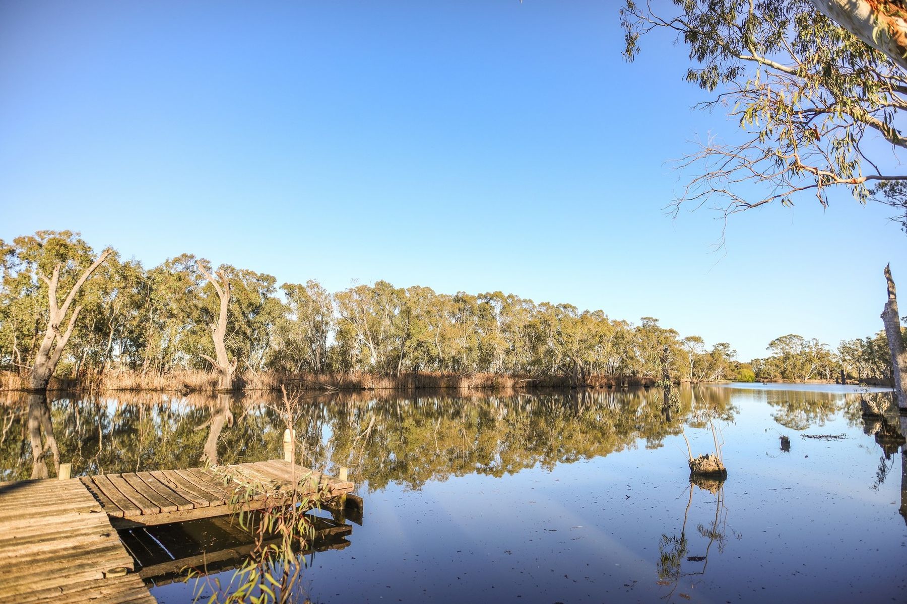 503 Island Road, Cohuna VIC 3568, Cohuna - Thumbnail 2