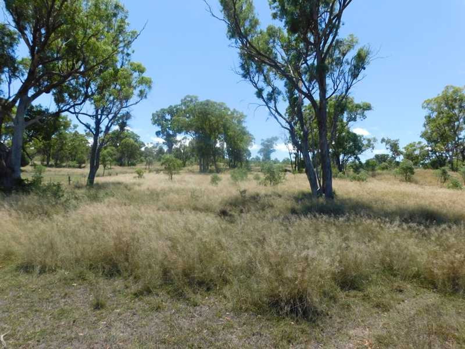 Lot 682 Gilchrist Road, Rosehill - Thumbnail 8