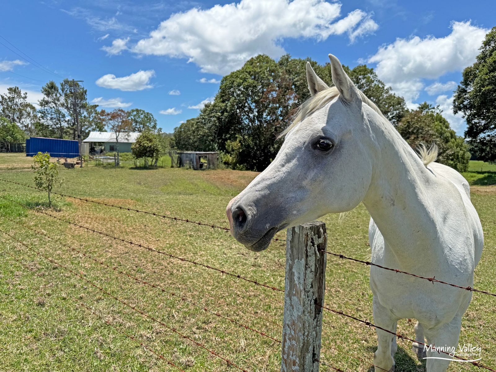 70 Candoormakh Crescent, Nabiac For Sale by Farmbuy.com - image 15