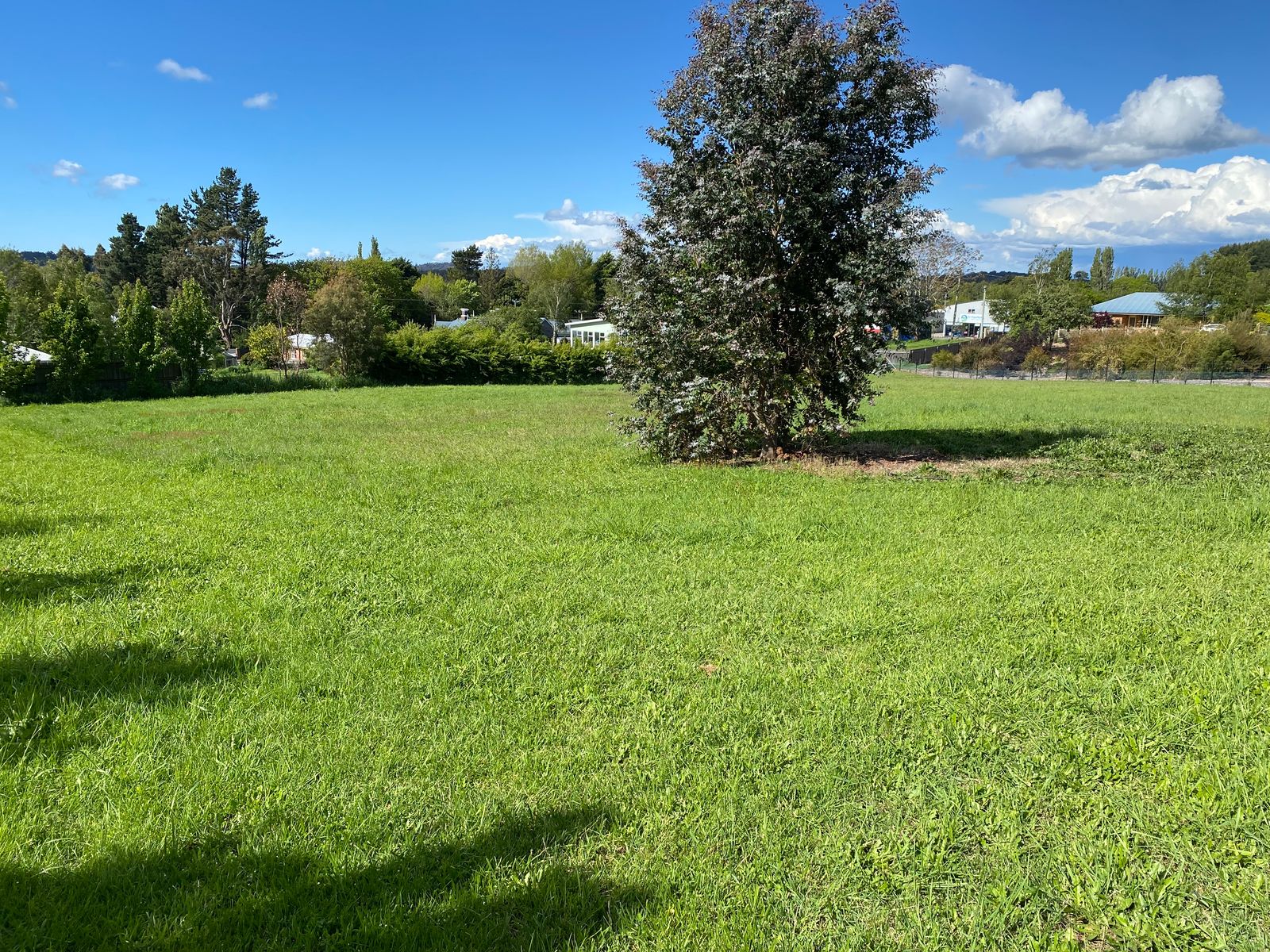 16 East Westbury Place,, Deloraine TAS 7304, Deloraine - Thumbnail 4