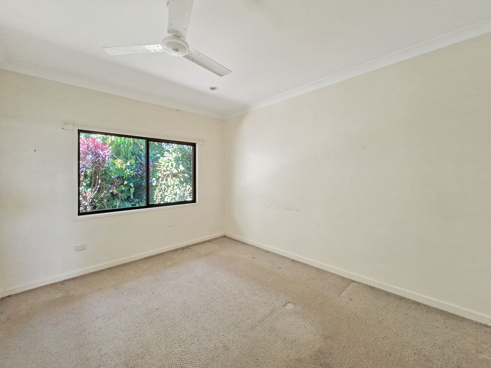5 Peaks Gully Road, Atherton QLD 4883, Atherton - Thumbnail 7