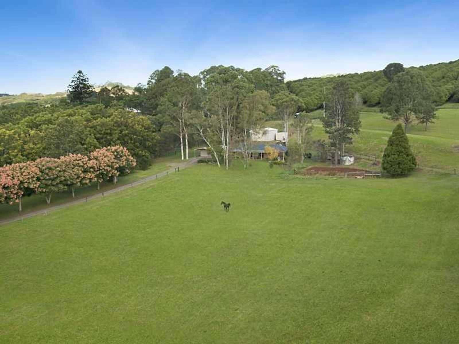 723 Houghlahans Creek Rd, Pearces Creek - Thumbnail 4
