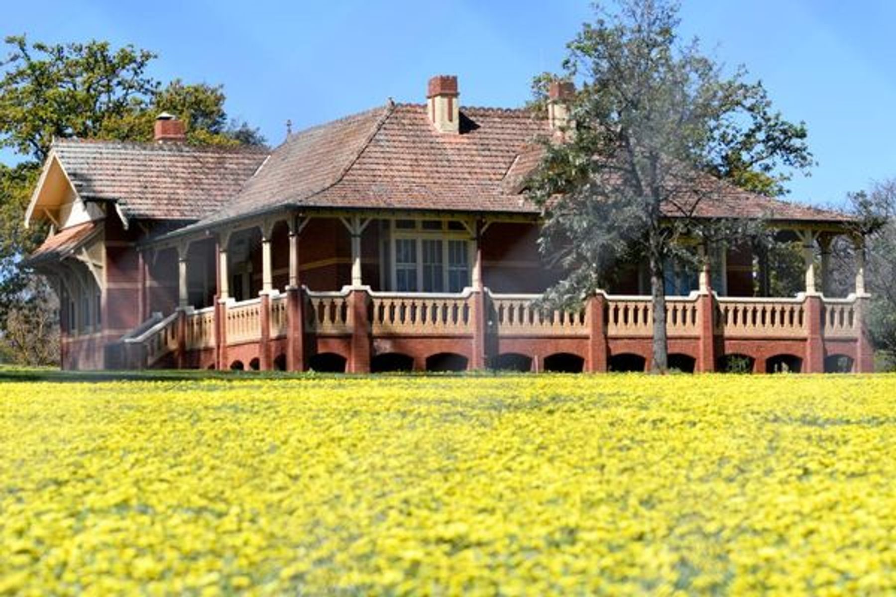 Flora Hill