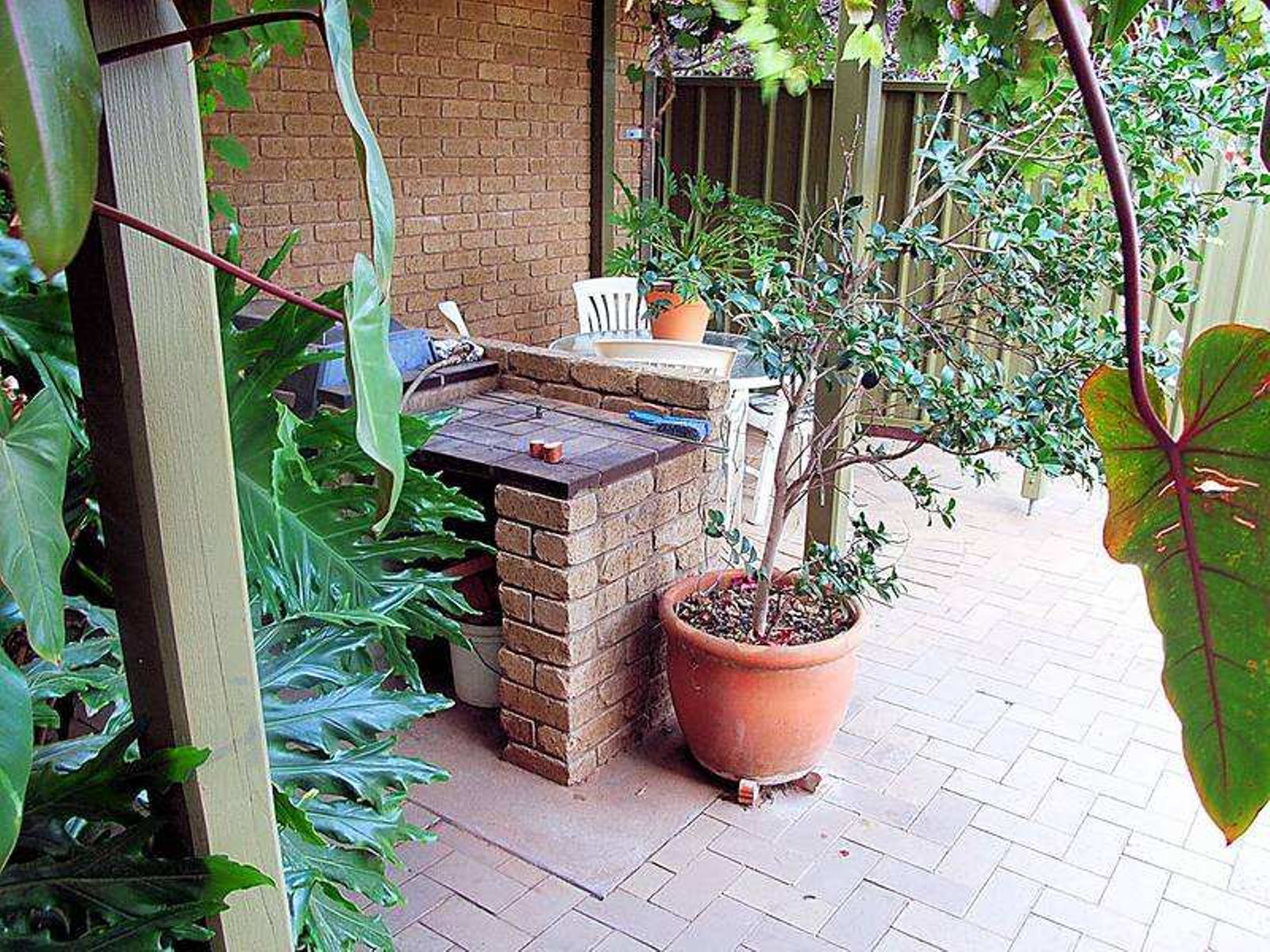 11 Primrose Drive, Mildura - Thumbnail 5