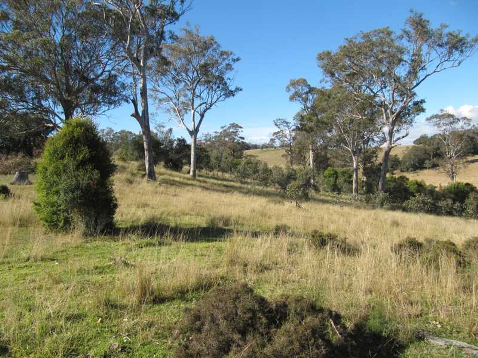 Barlows Gate Road QLD 4373, Barlows Gate Road - Thumbnail 7