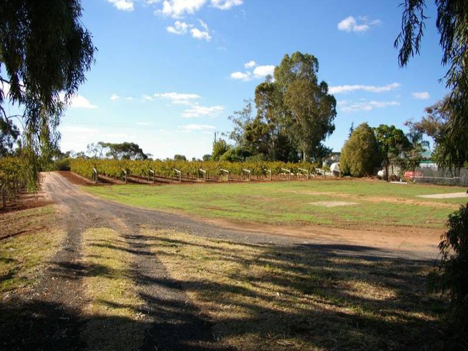 261 Red Cliffs Meringur Road, Red Cliffs - Thumbnail 5