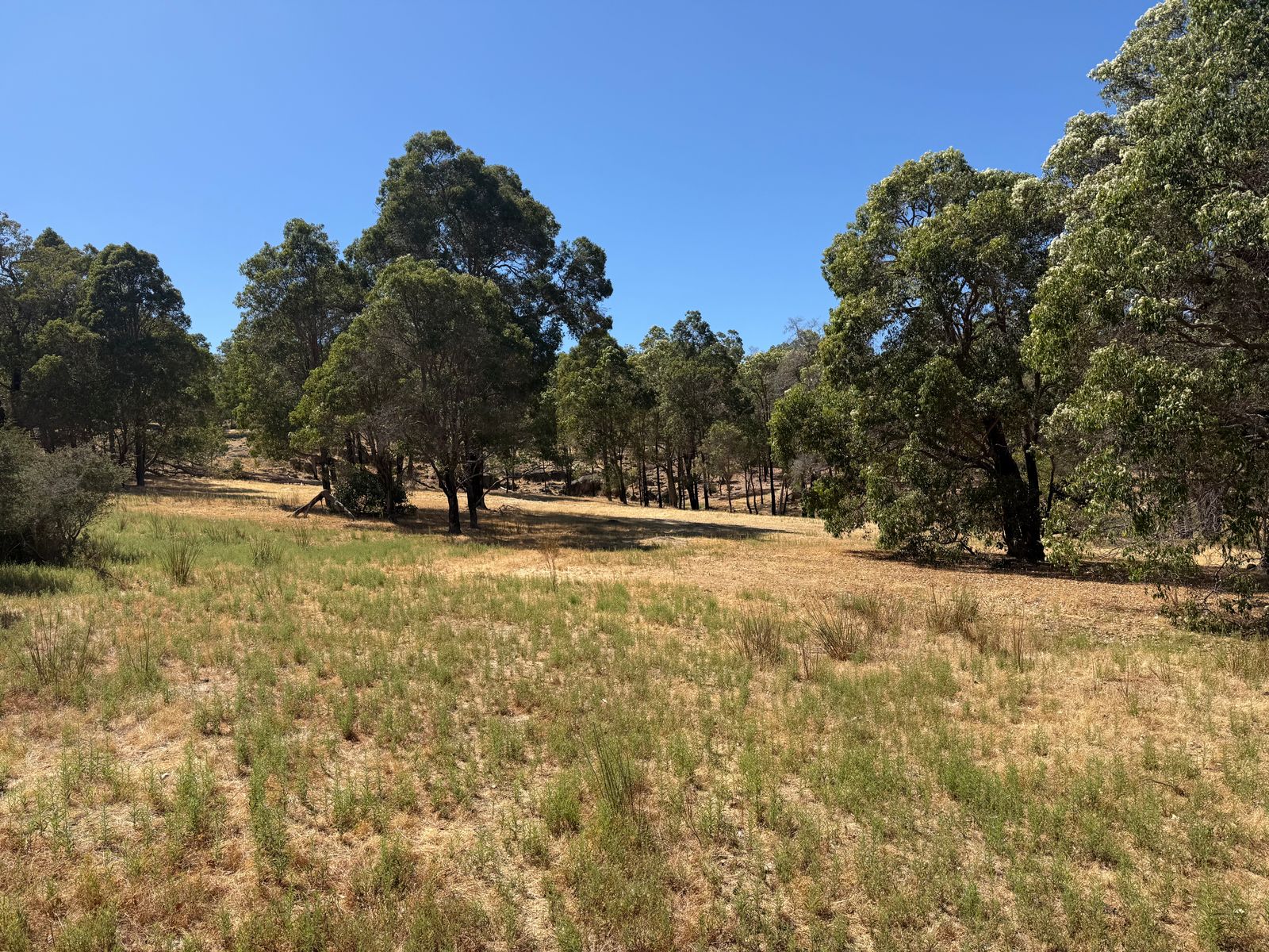 59 Lyons Road, Waroona WA 6215, Waroona - Thumbnail 2