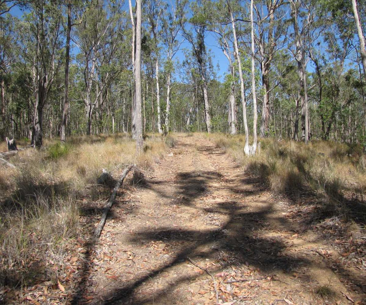 Lot 12 Lot 12 Paddy's Flat Road, Tabulam - Thumbnail 6