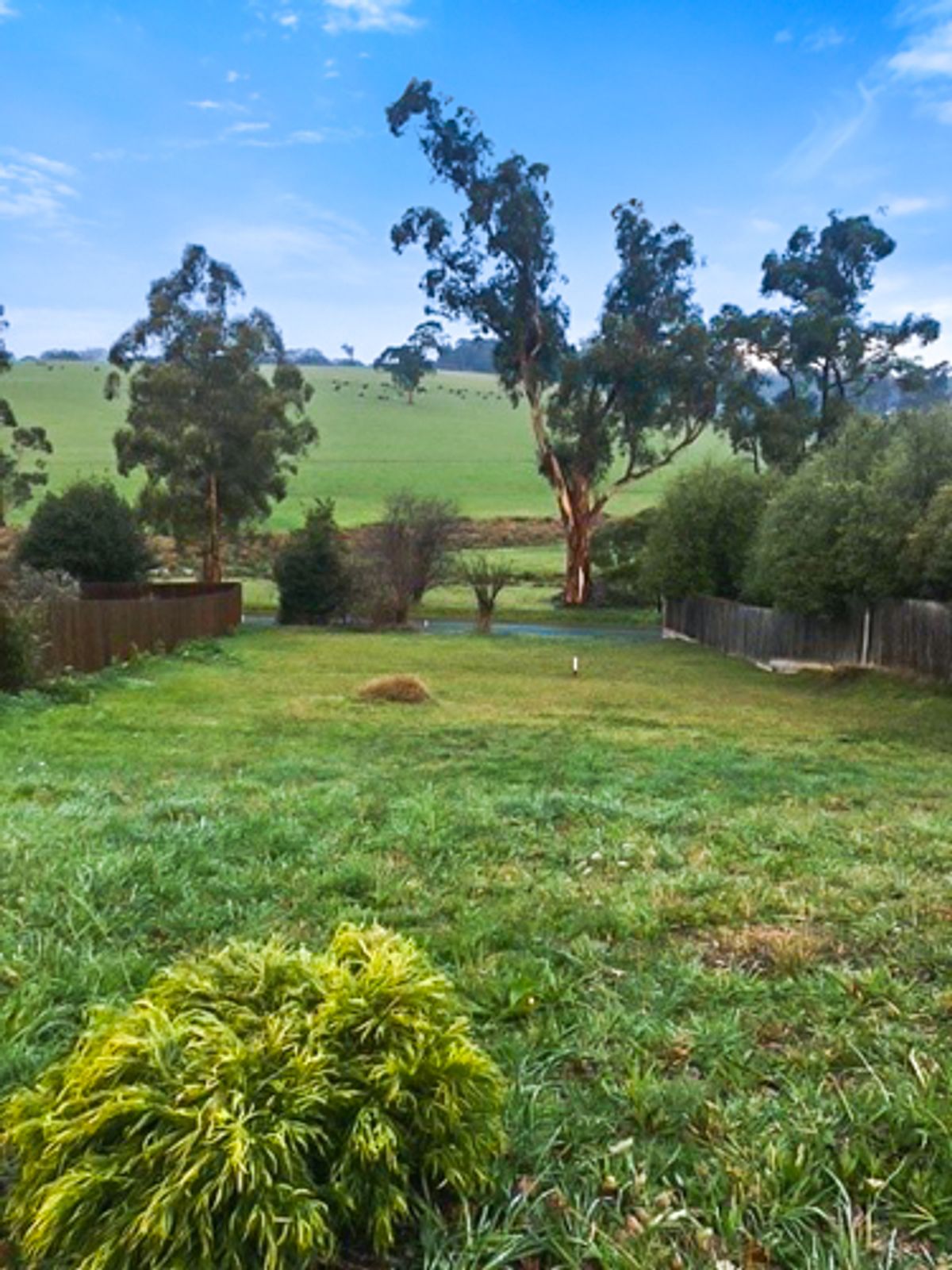 10 Carbine Court, Drouin, VIC 3818, Drouin - Thumbnail 3