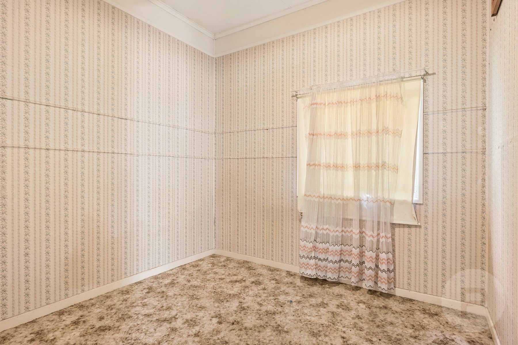 159 Empress Terrace, Empress Terrace - Thumbnail 8