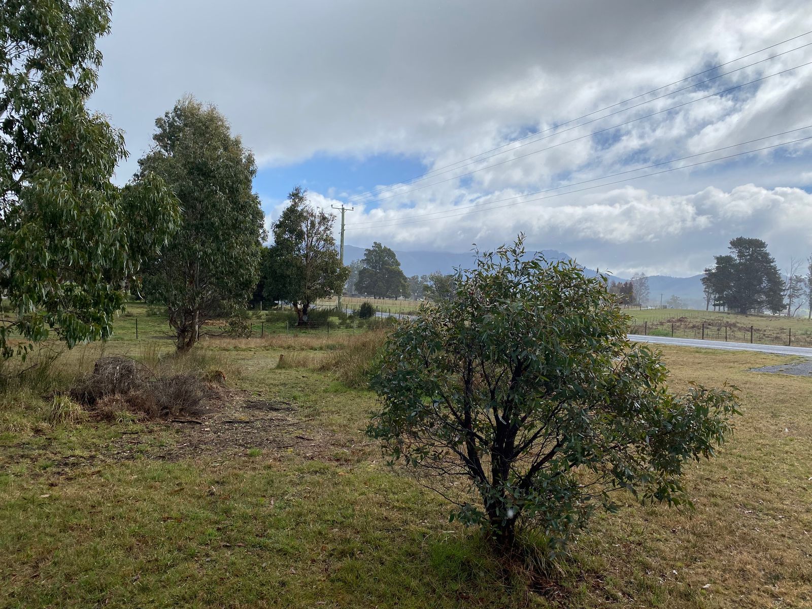 43 Union Bridge Road, Mole Creek TAS 7304, Mole Creek - Thumbnail 4