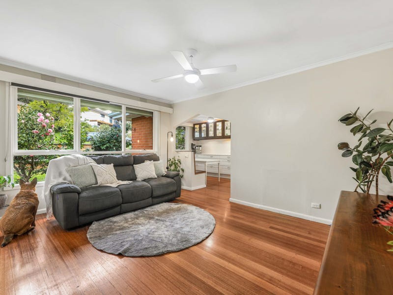 24 Merricks Close, Ferntree Gully, VIC 3156, Ferntree Gully - Thumbnail 3