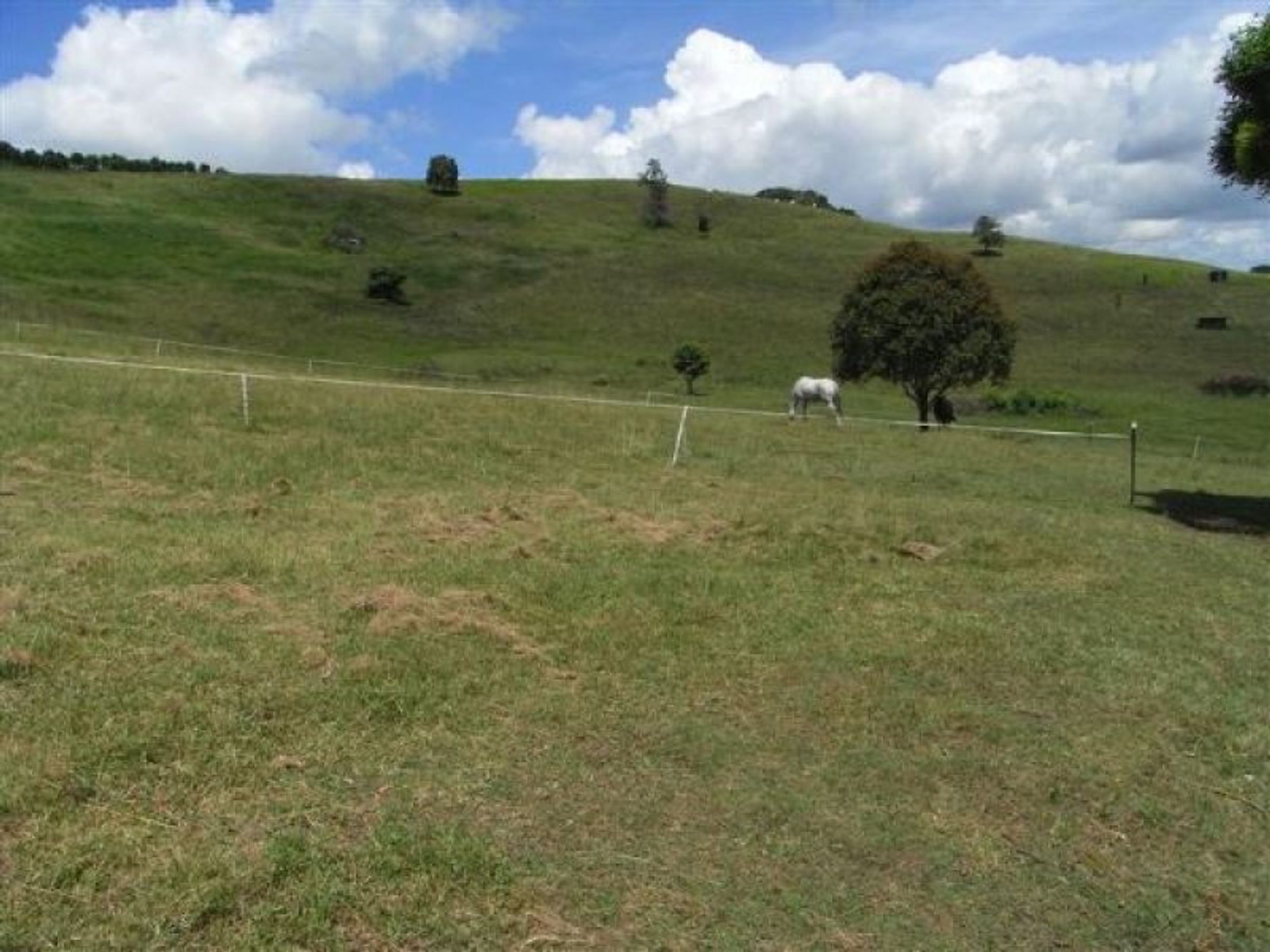 Numulgi NSW 2480, Numulgi - Thumbnail 7
