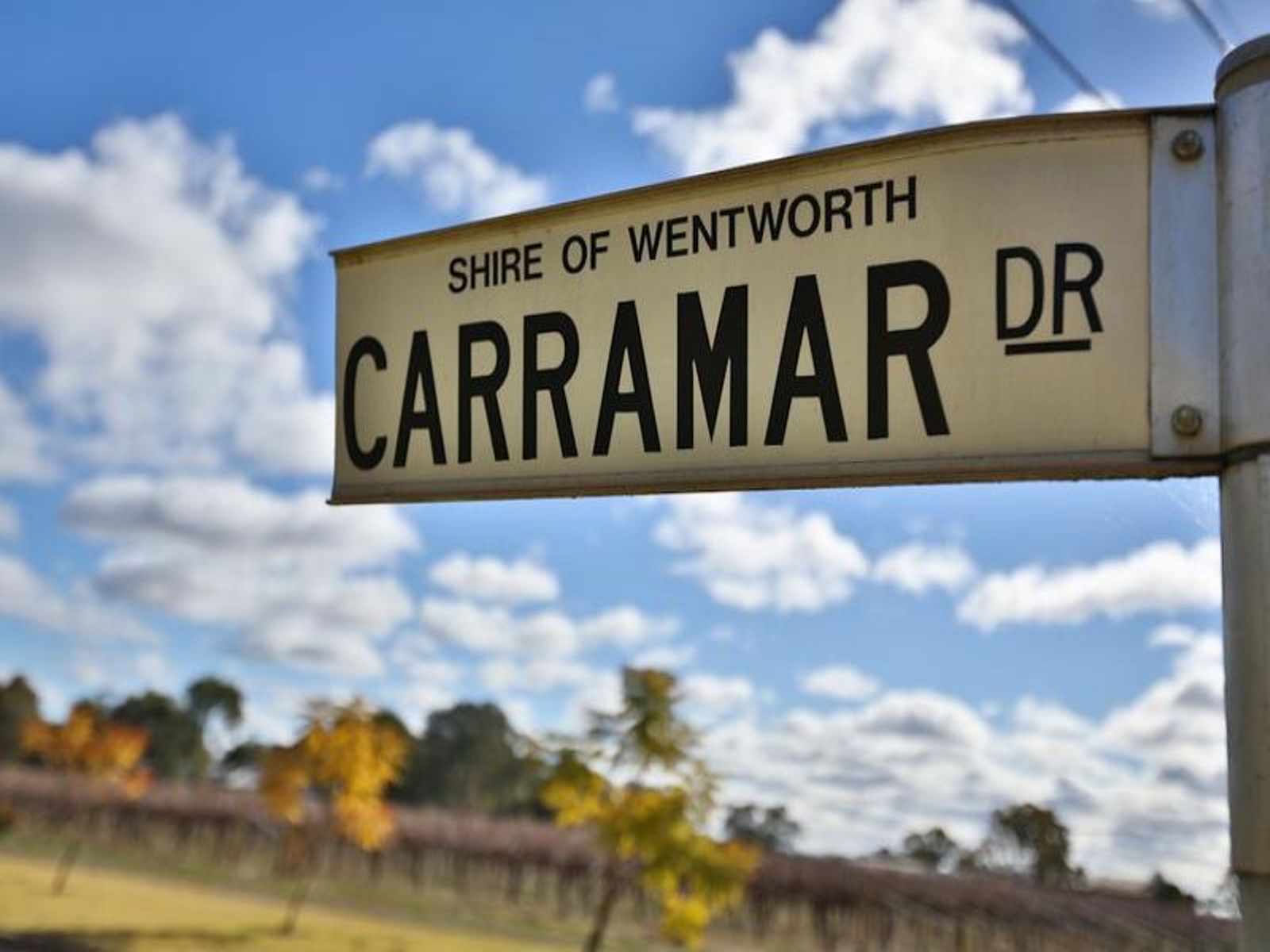 49 Carramar Drive, Gol Gol - Thumbnail 2