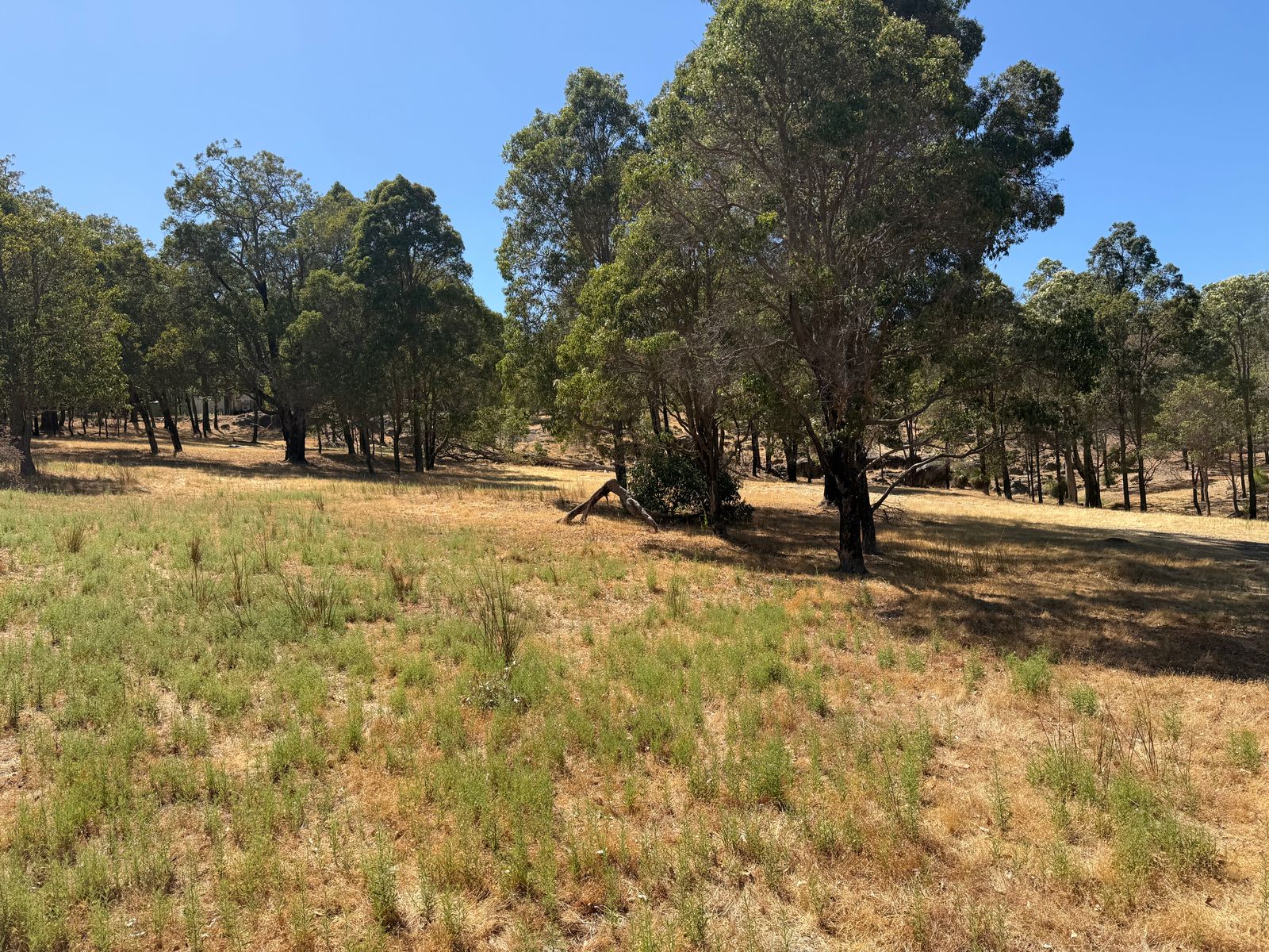 59 Lyons Road, Waroona WA 6215, Waroona - Thumbnail 8