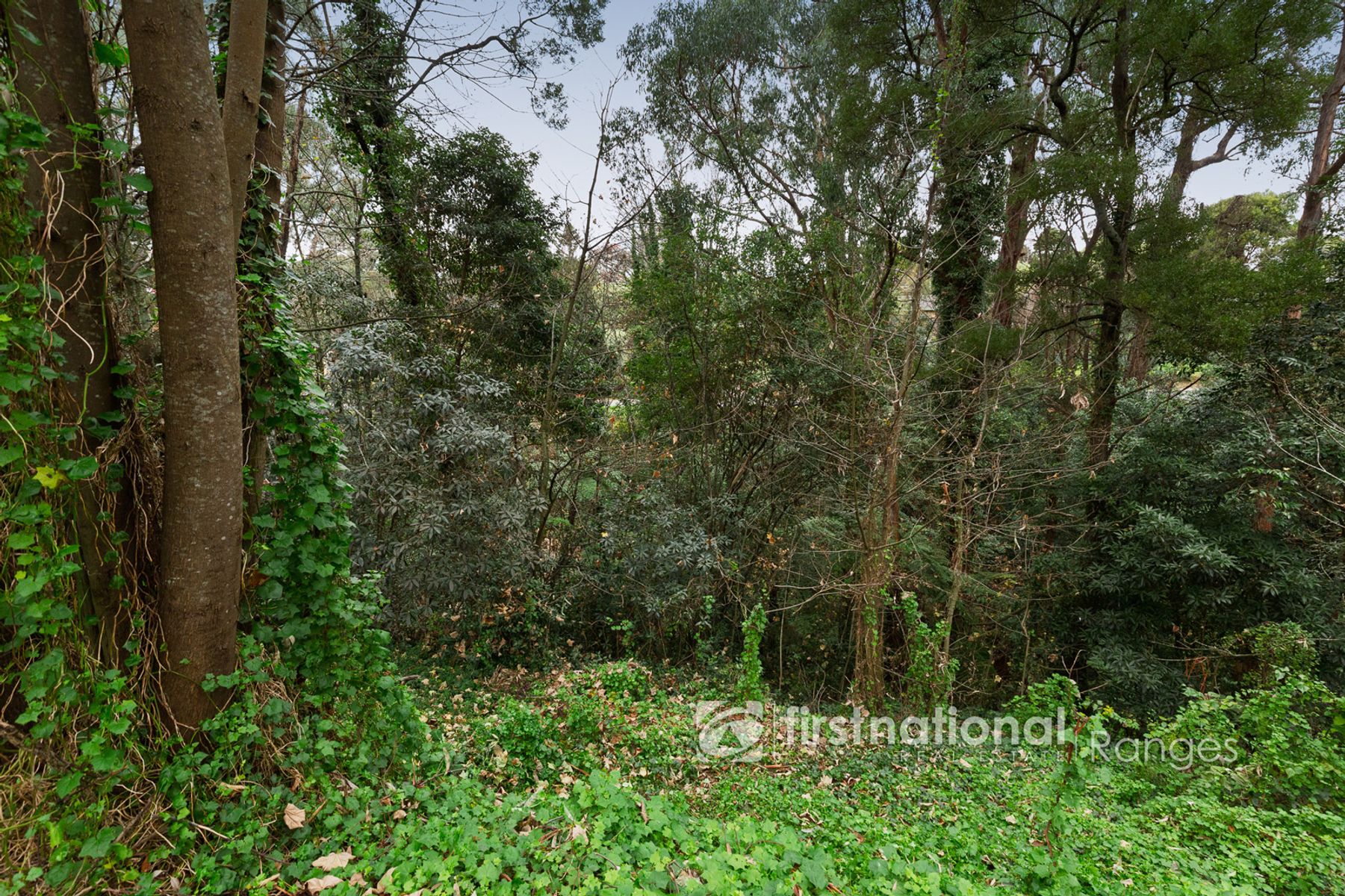 21-25 McAllister Road, Monbulk VIC 3793, Monbulk - Thumbnail 5