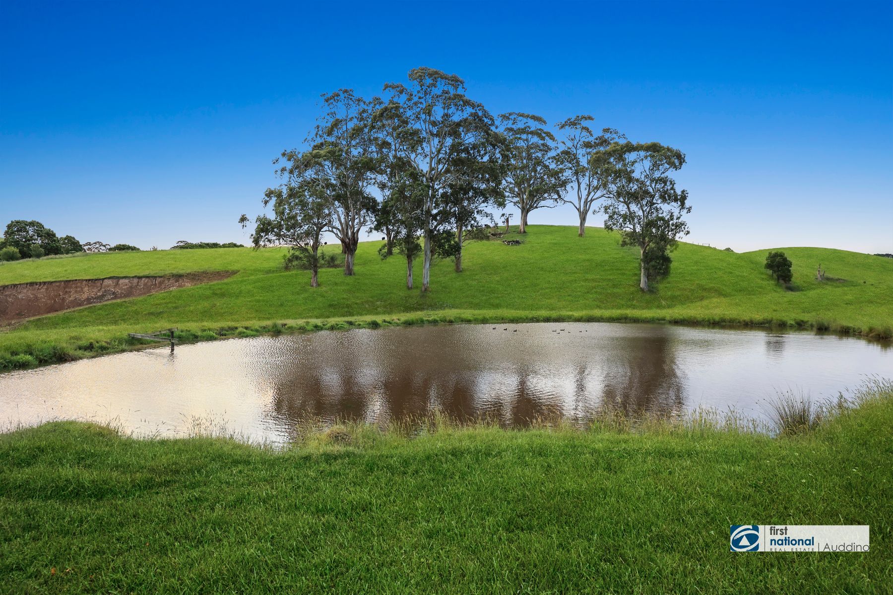 029 Open2view ID730826 South Gippsland Highway
