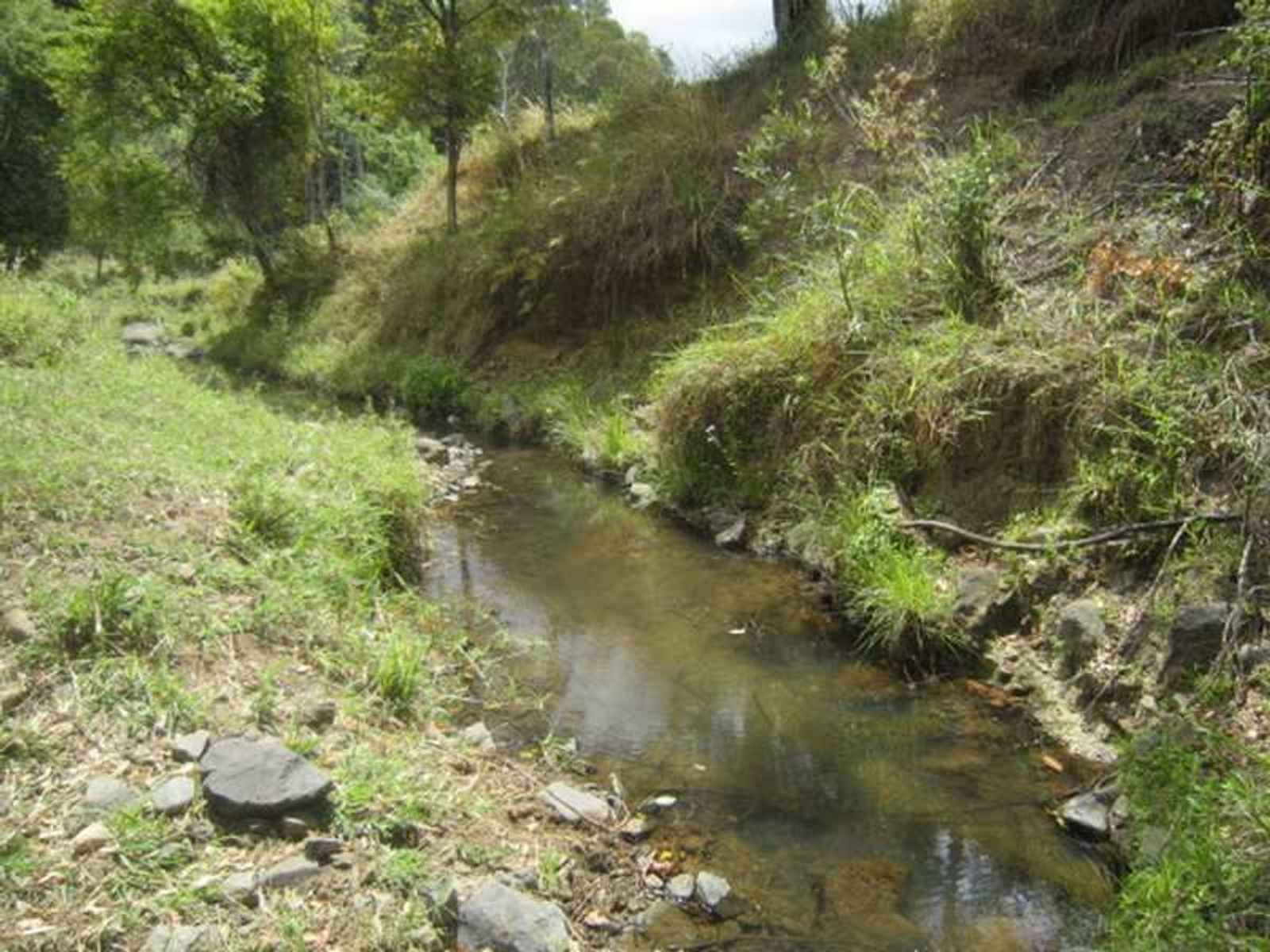 4012 Kyogle Road, Mount Burrell - Thumbnail 7