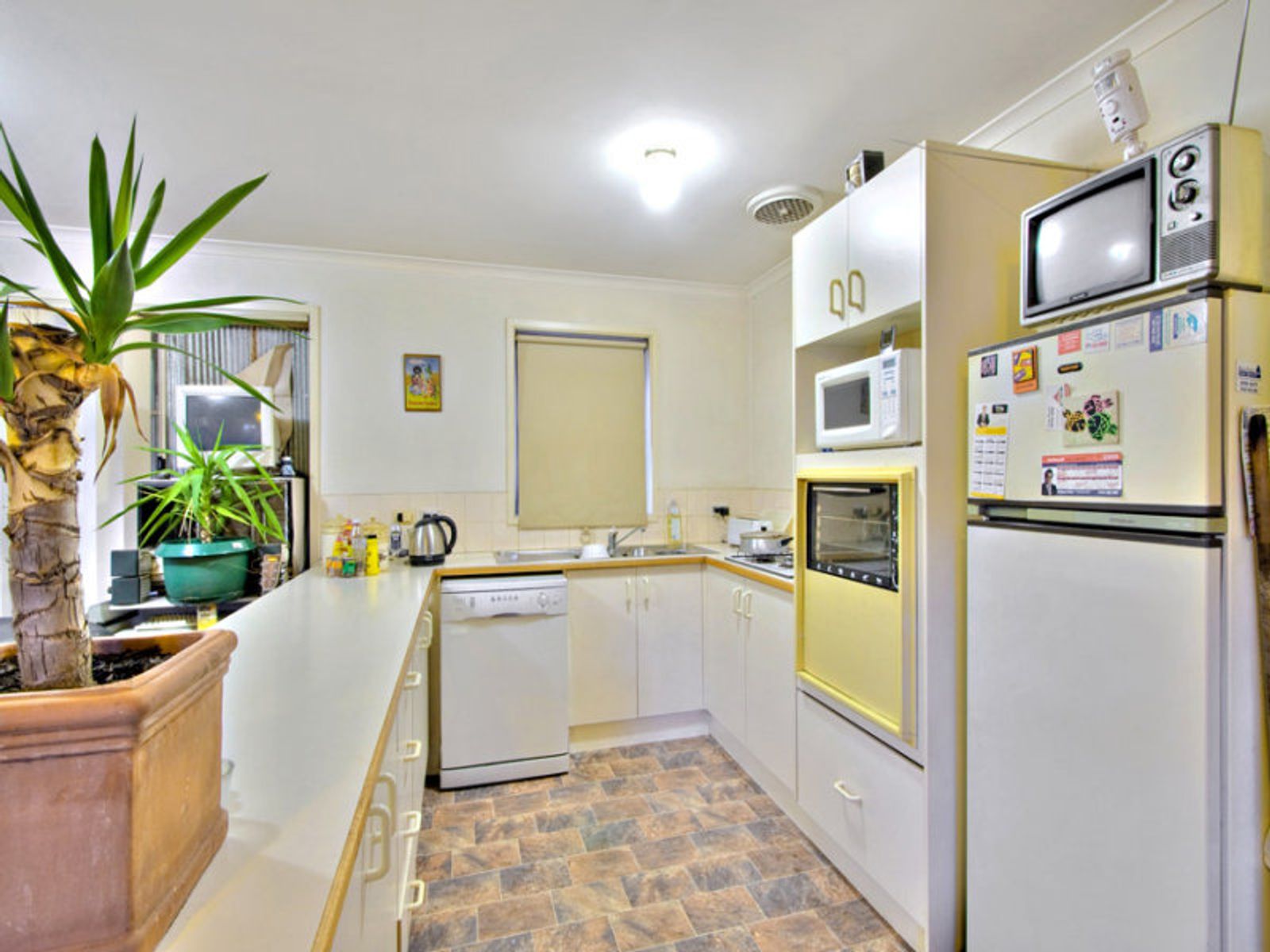 3 Jude Court, Aspendale Gardens, VIC 3195, Aspendale Gardens - Thumbnail 3