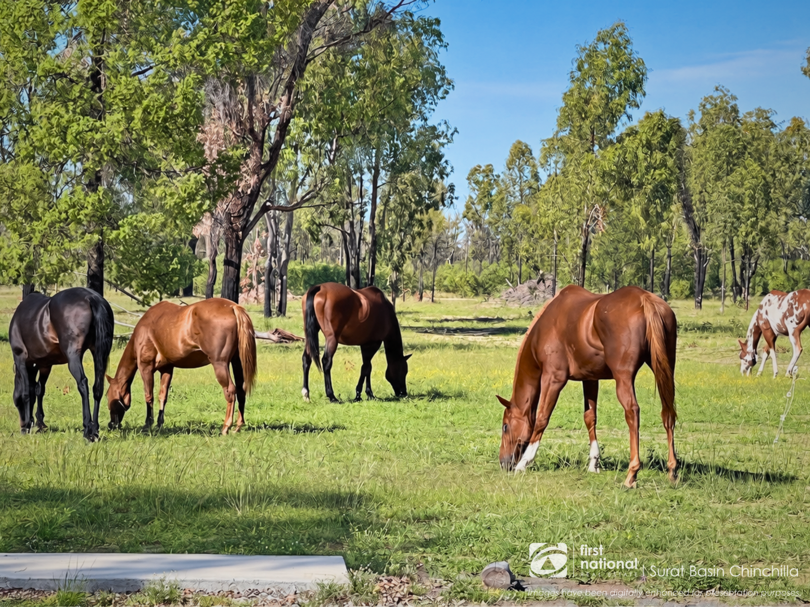 289 Myra Road, Tara For Sale by Farmbuy.com - image 30