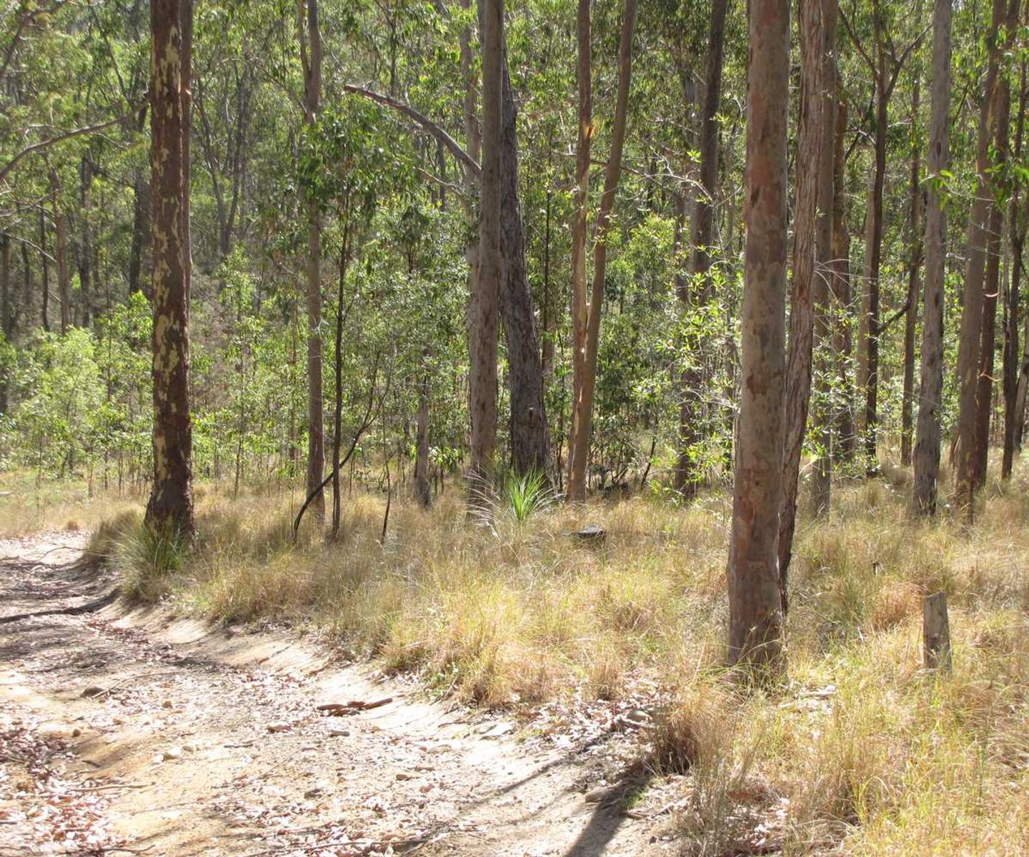 Lot 12 Lot 12 Paddy's Flat Road, Tabulam - Thumbnail 5